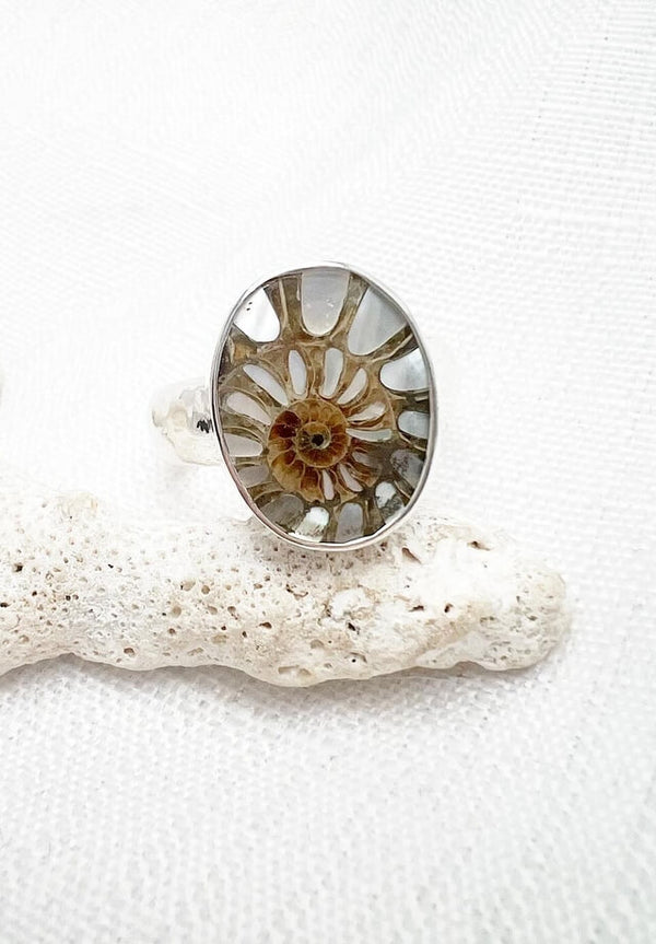 Ammonite Inlay Mother Of Pearl Size 11