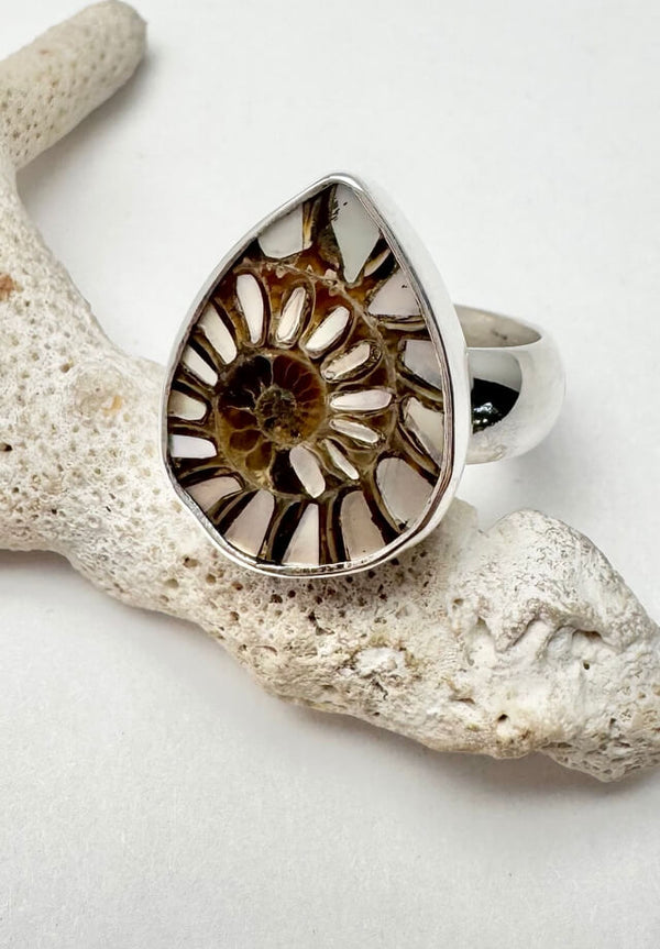 Ammonite Ring Size 7