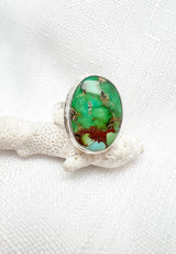 Sonoran Turquoise Ring Size 9.5