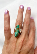 Fox Turquoise Ring Size 9